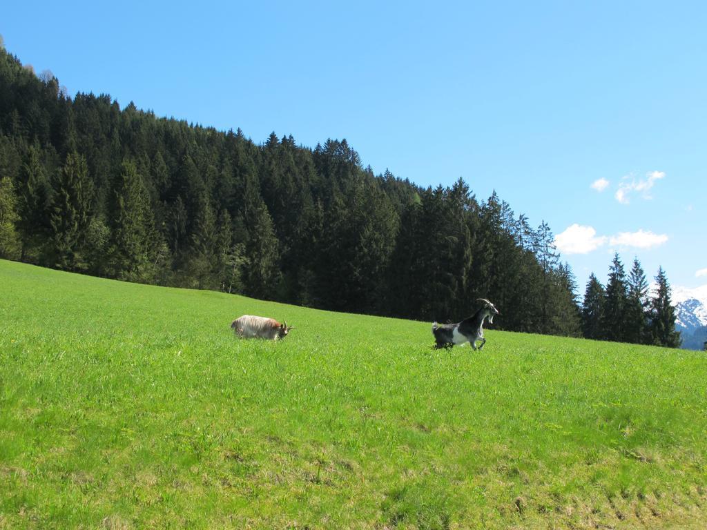 Fertinghof Villa Wildschönau Kültér fotó