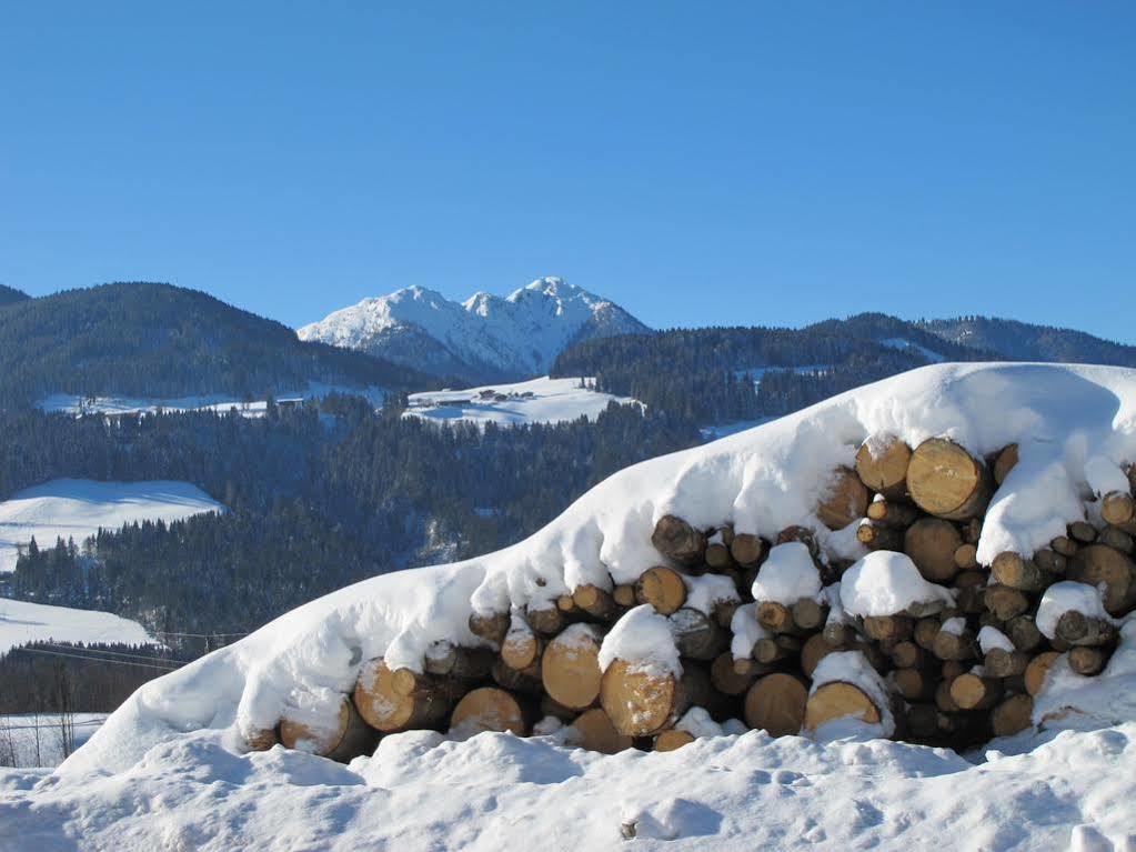 Fertinghof Villa Wildschönau Kültér fotó